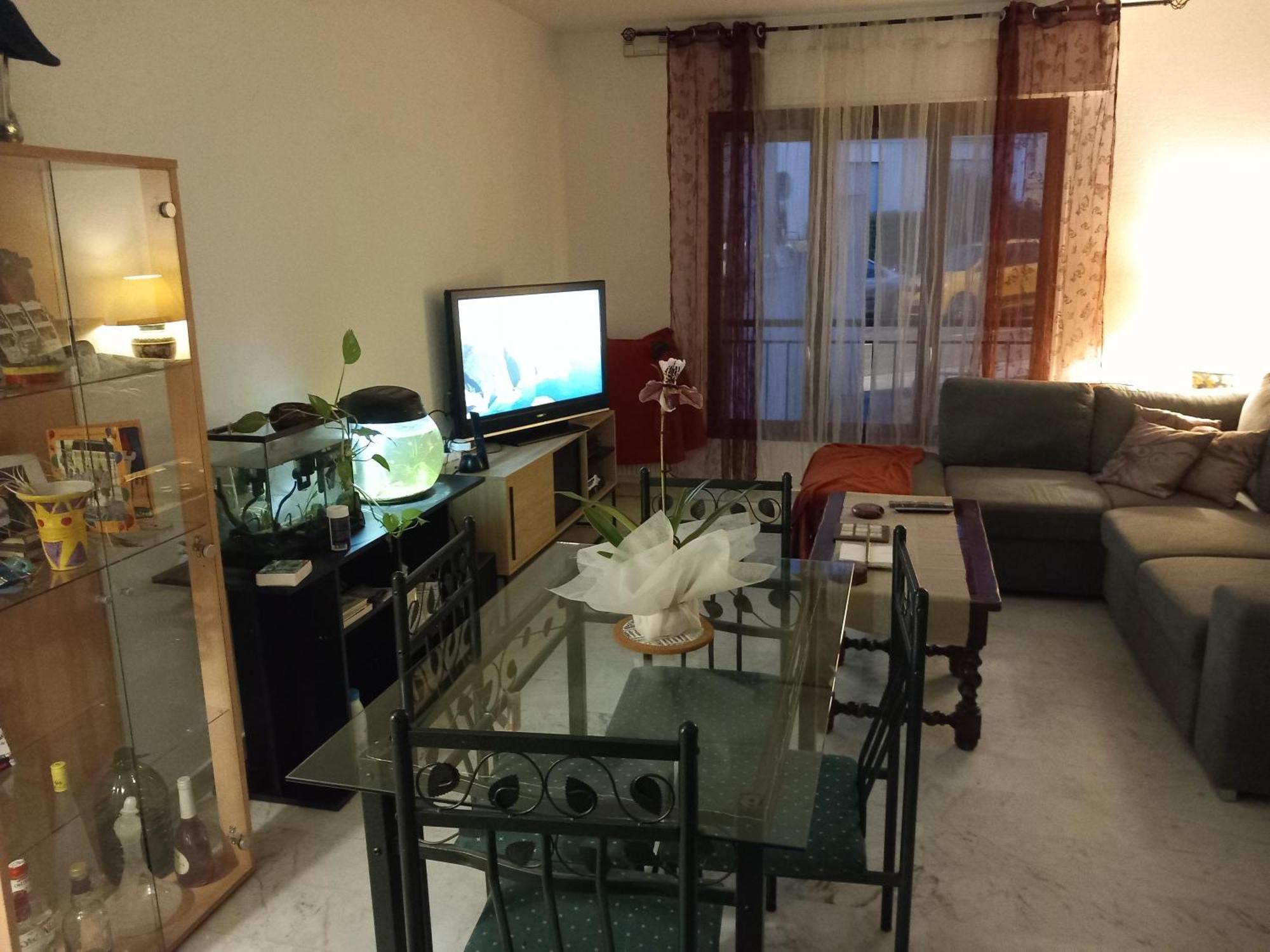 Les Carlins Alloggio in famiglia *